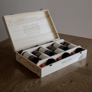 Vinho Chileno Emiliana Tinto Coyam Vertical Caixa Especial 6 Safras