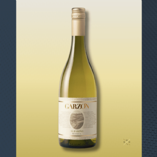 Vinho Branco Garzón Reserva Albariño