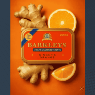 Barkley's Tastefull Intense Mints - Ginger & Orange