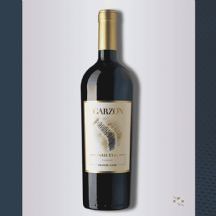 Vinho Tinto Garzón Petit Clos Tannat